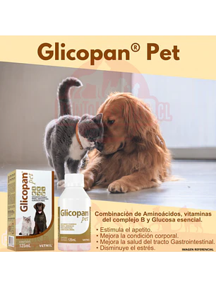 Glicopan Pet Vetnil 125 ml - Suplemento Estimulante