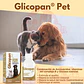 Glicopan Pet 125 ml - Suplemento Estimulante - Miniatura 2