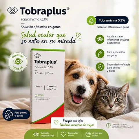 Tobraplus - Solución Oftálmica