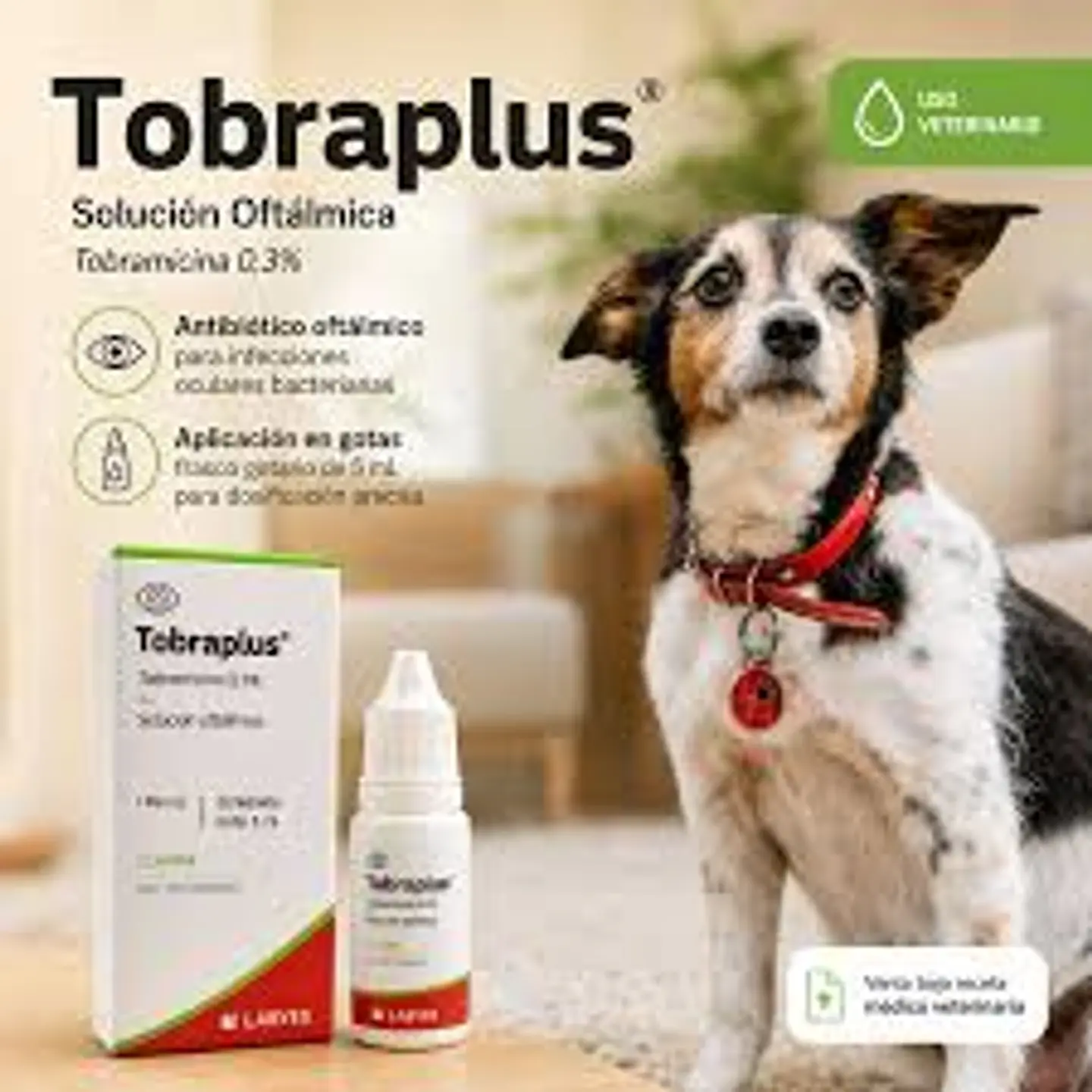 Tobraplus - Solución Oftálmica 2