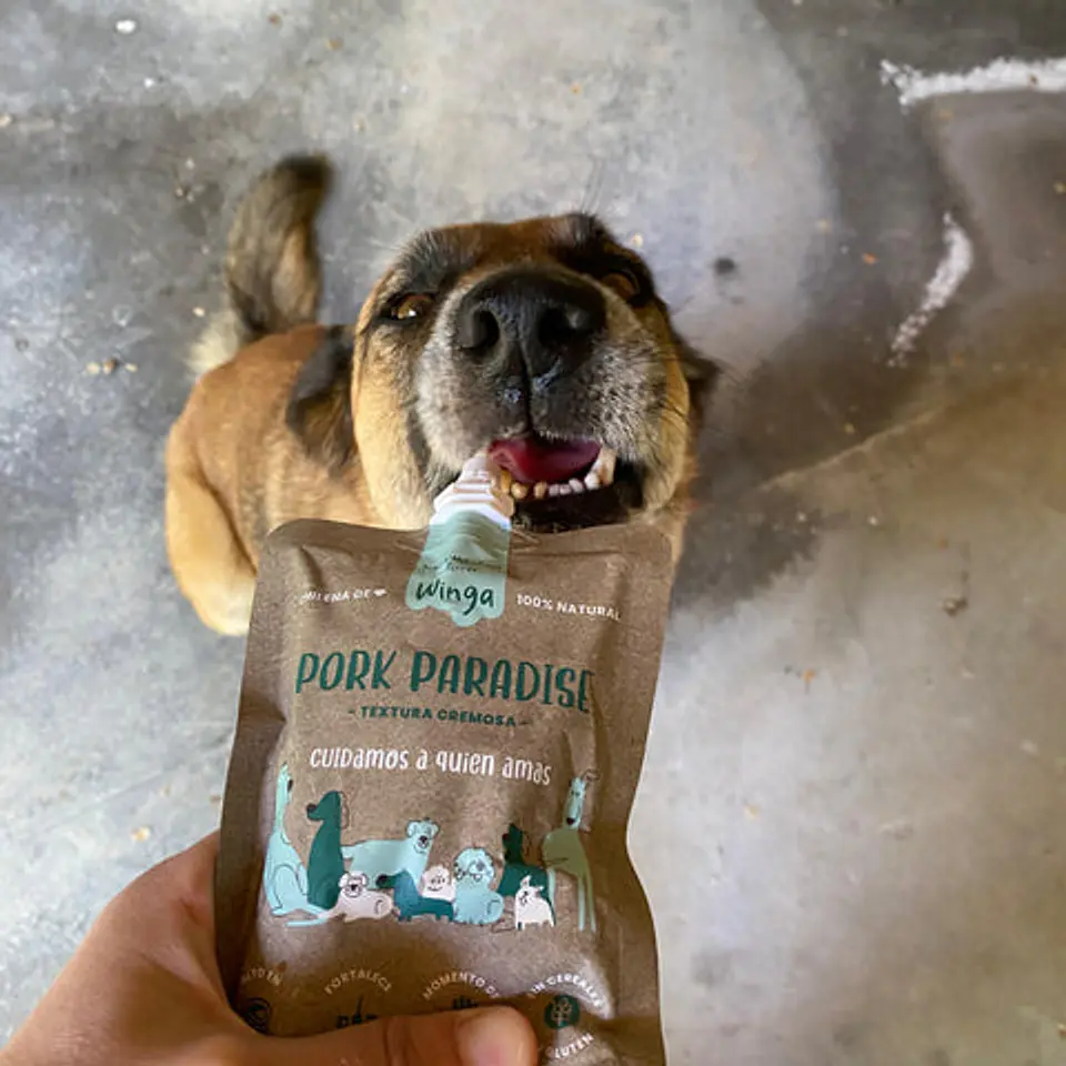 Pouch Húmedo Pork Paradise para Perros - Winga 2