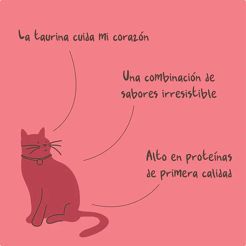 Magic Salmon - Snack Untable para Gatos Winga