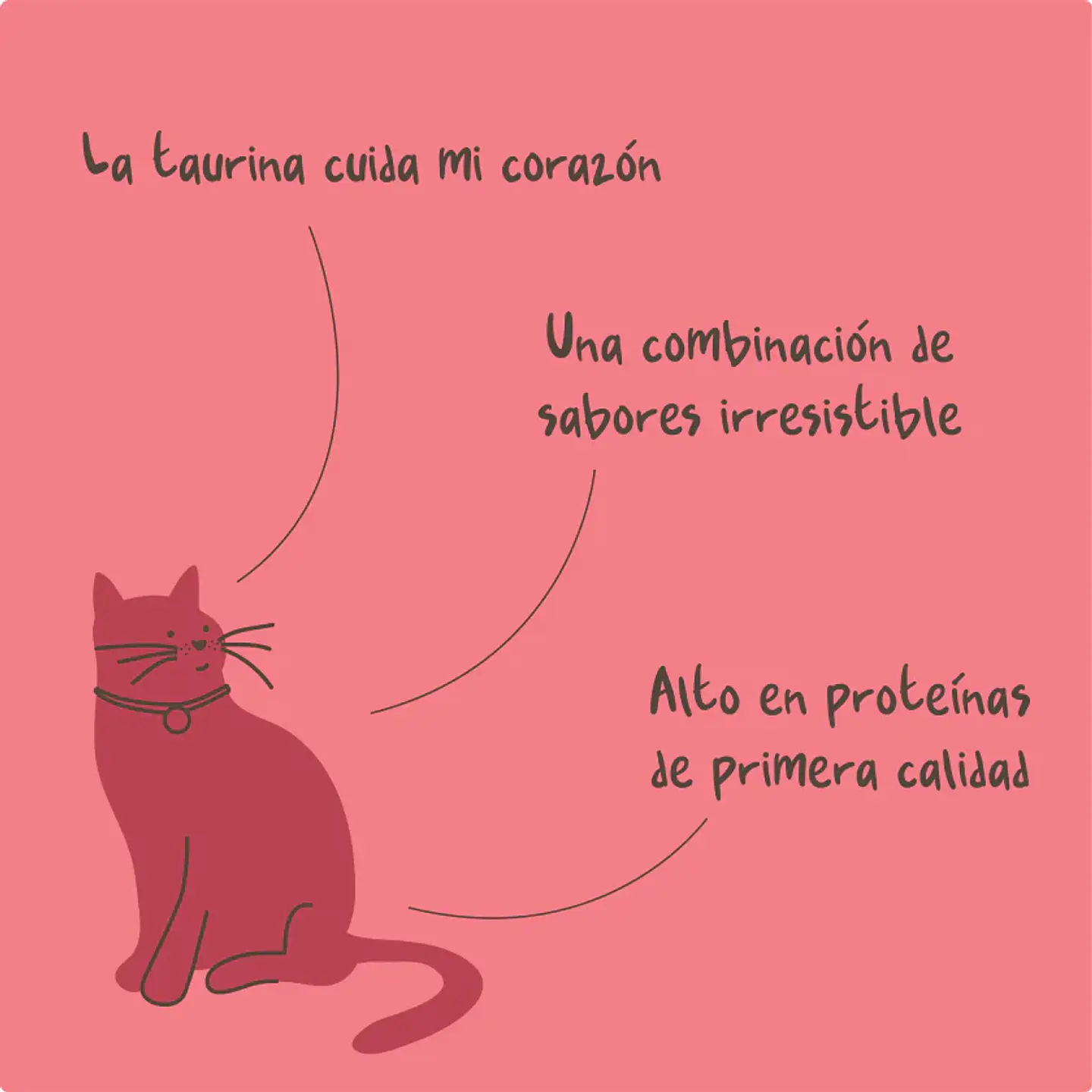 Salmon Energy - Snack Untable para Gatos Winga 2