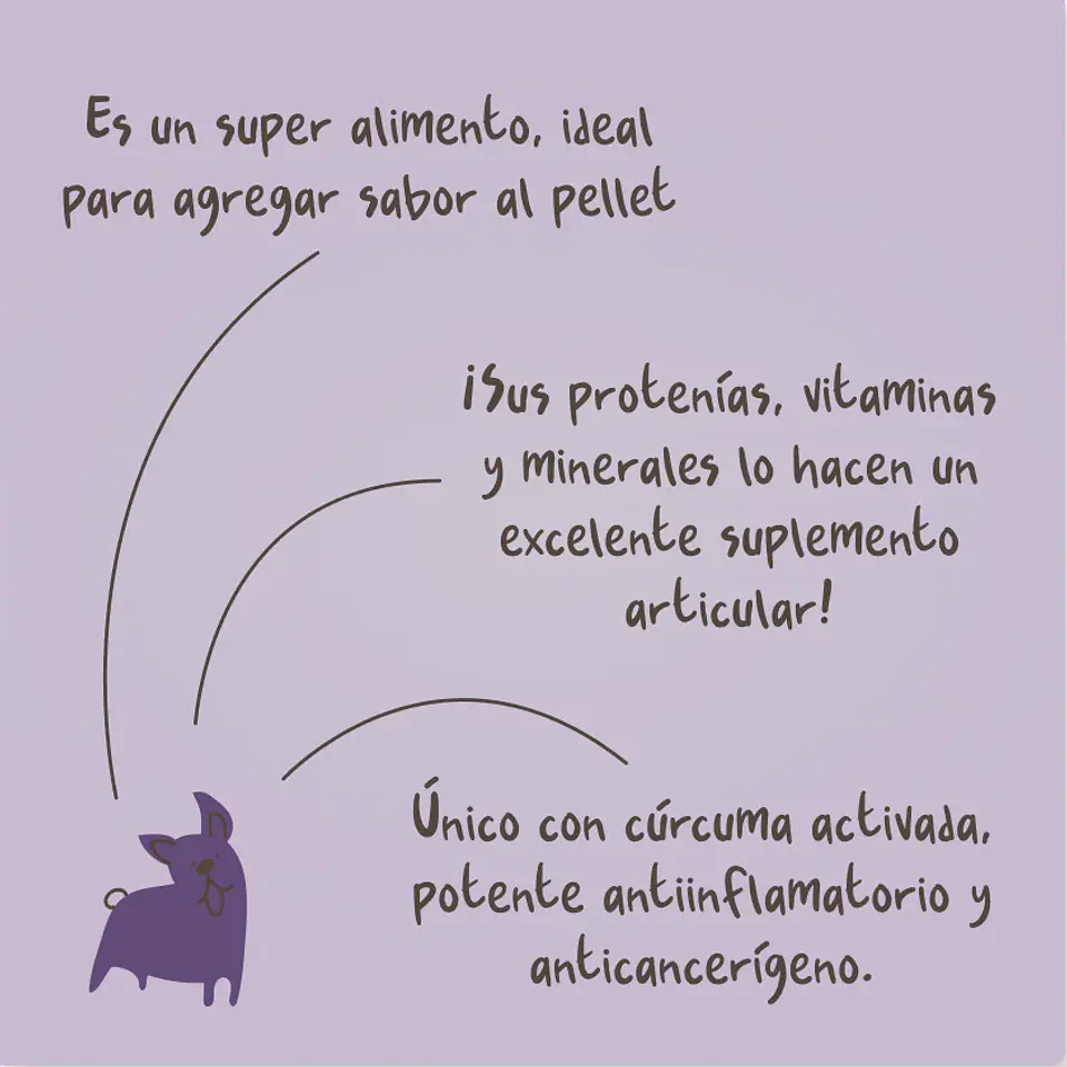 Caldo de Huesos - Snack para Perros Winga 2