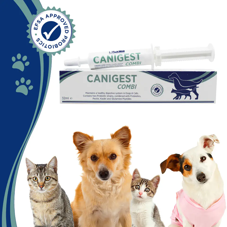 Canigest Combi - Solución Oral 3