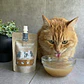 Caldo de Hueso Renal para Gatos - Winga - Miniatura 3