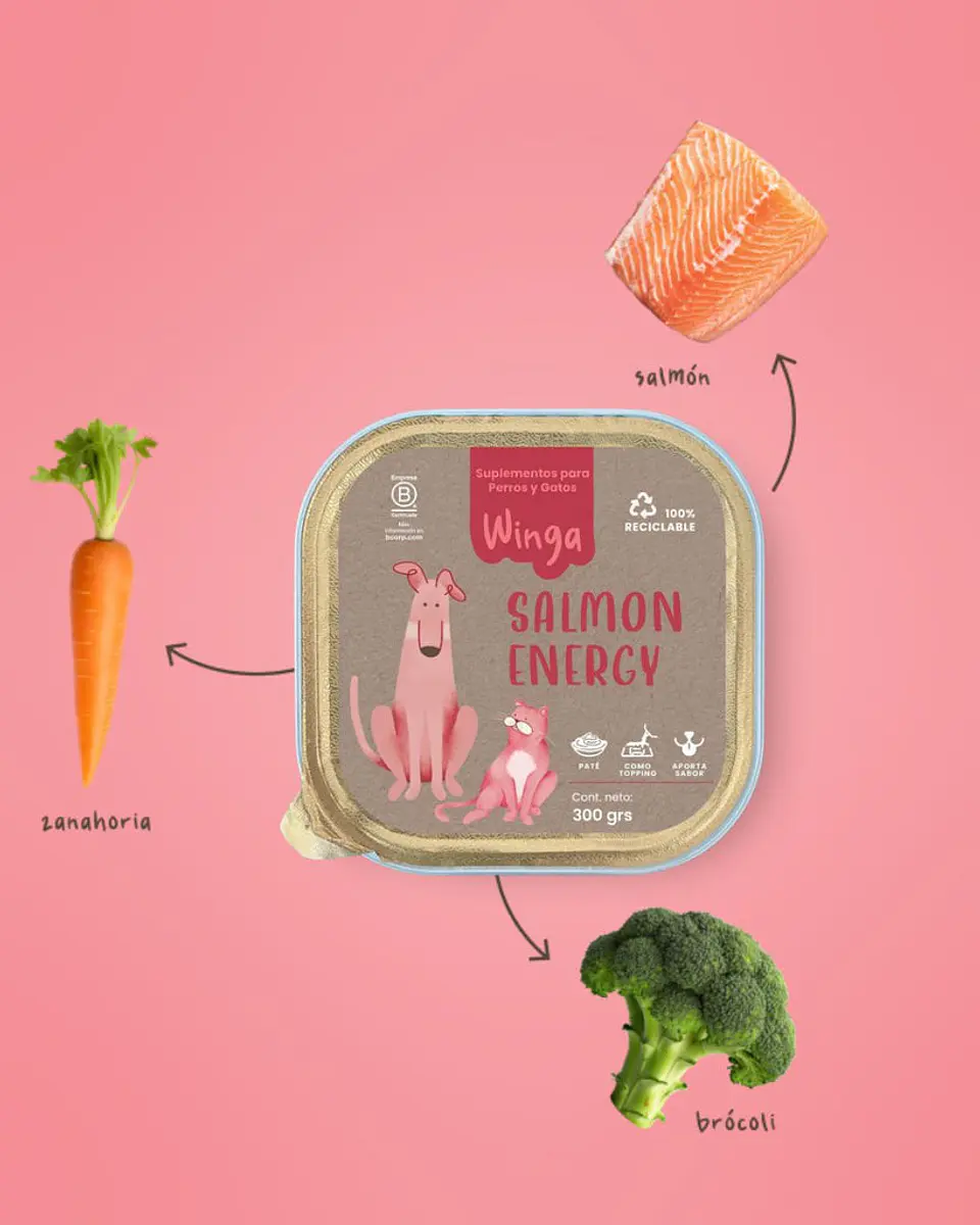 Paté Salmon Energy para Perros y Gatos - Winga (Monoproteico Salmón) 6