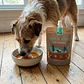Caldo de Hueso de Chorito para Perros - Winga - Miniatura 3