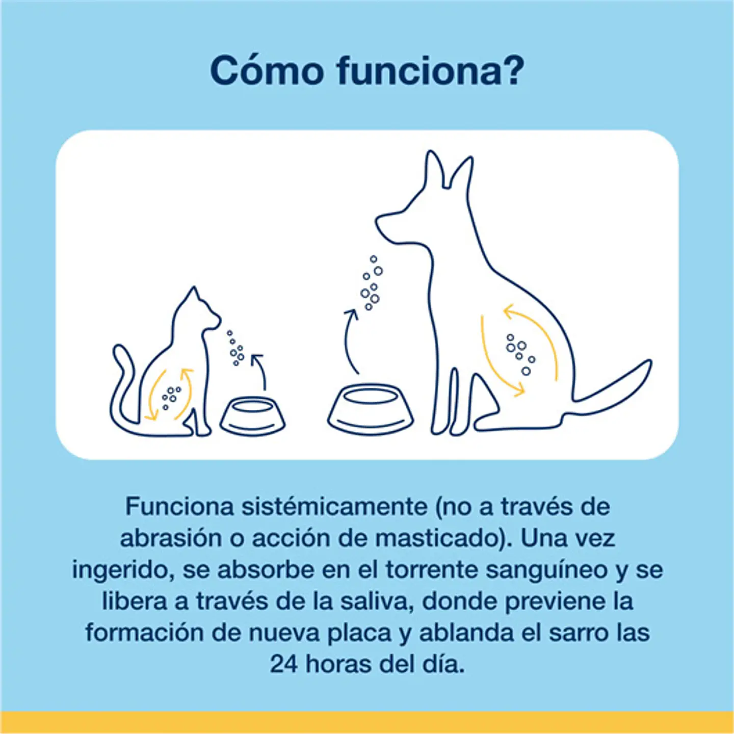 PlaqueOff Polvo Perros 40 gr - ProDen 4