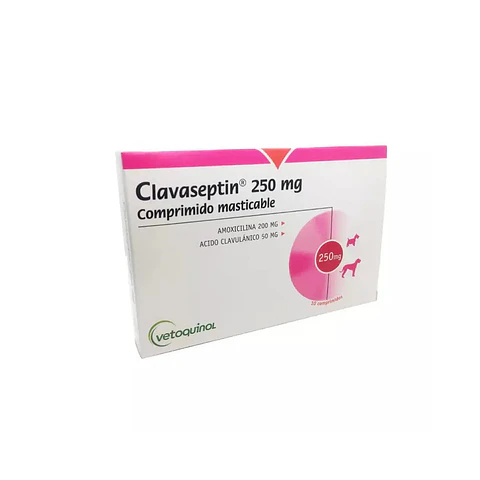 Clavaseptin 250 mg - Comprimidos Saborizados
