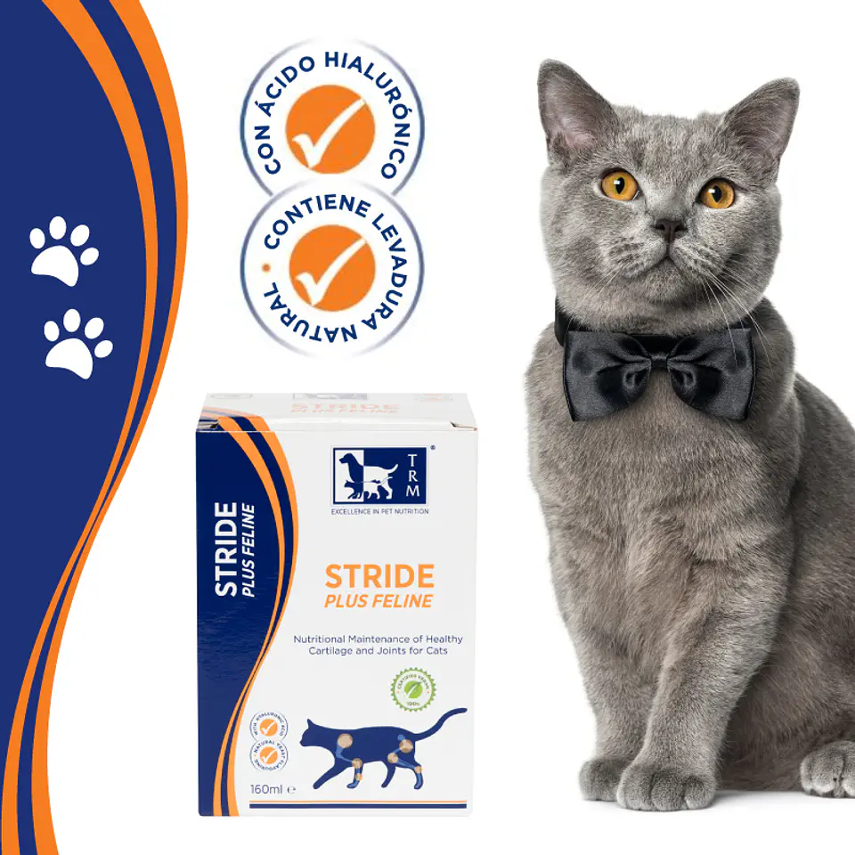 Stride Plus Feline - 160 ml 2
