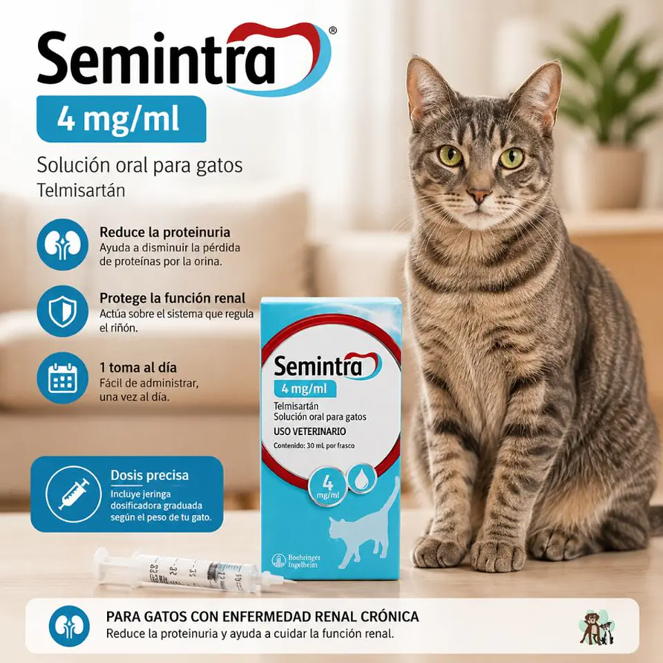 Semintra Gato (30 ml) - Solucion Oral 3