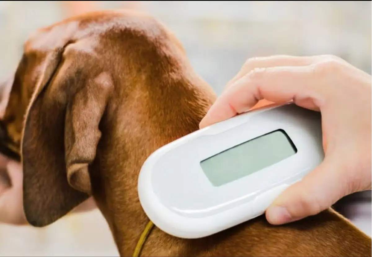 ValVet Veterinaria