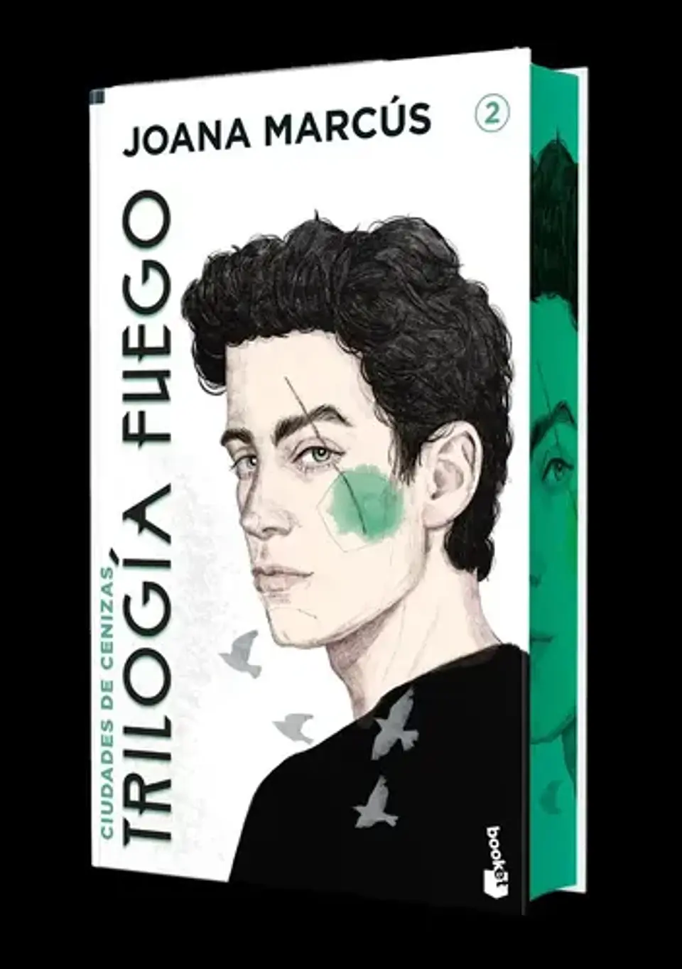 Libro Ciudades De Cenizas Edicion Especial Con Cantos Decorados -, De Joana Marcús, Vol. 2. Editorial Booket, Tapa Blanda (2023) 1