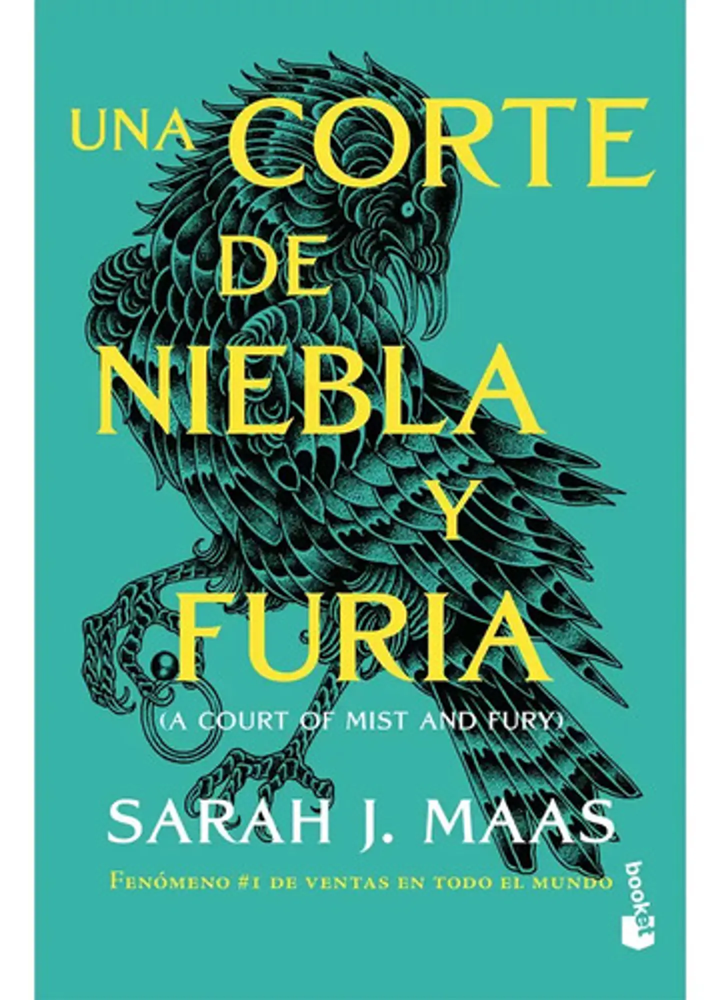 Una Corte De Niebla Y Furia / A Court Of Mist And Fury 1