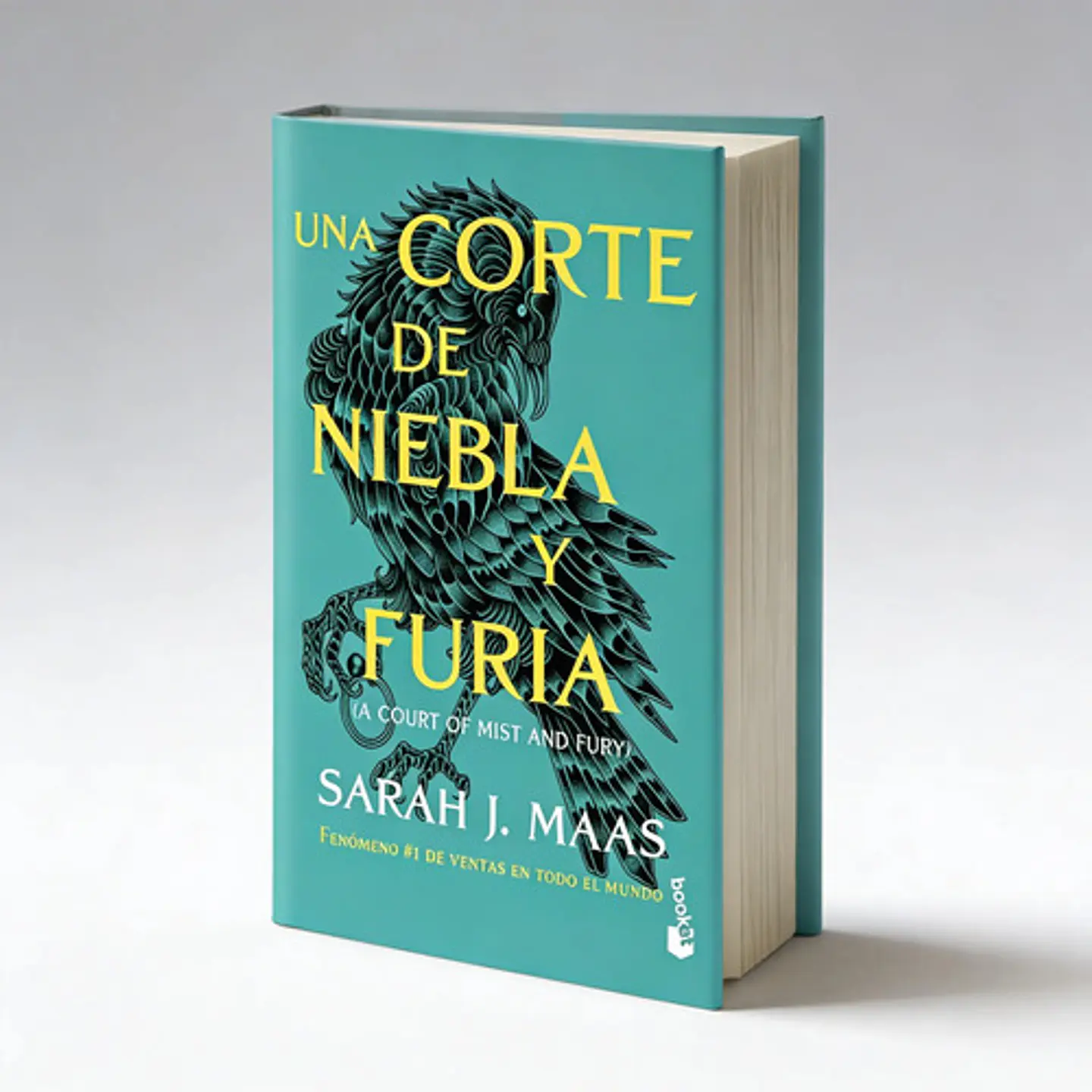 Una Corte De Niebla Y Furia / A Court Of Mist And Fury 5