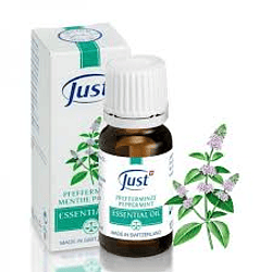 Peppermint Essential Oil | 10 ml