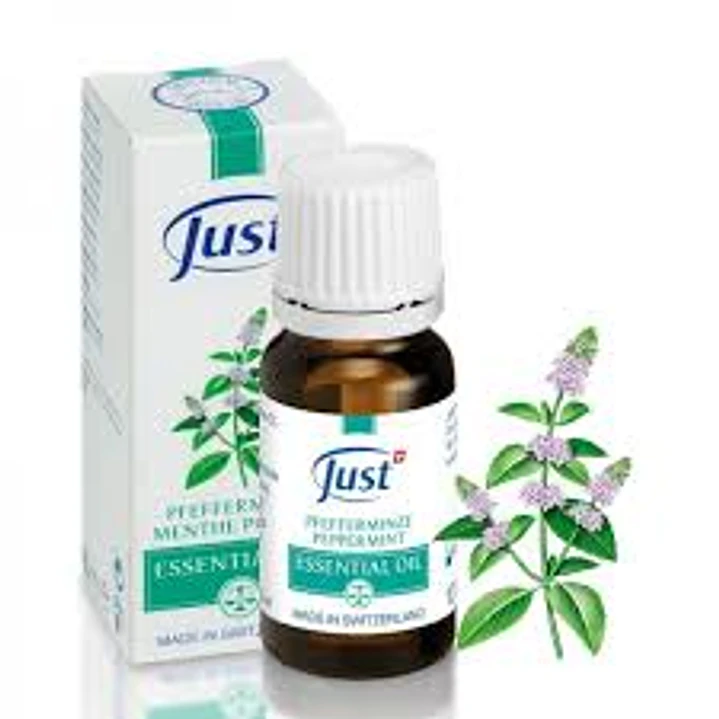 Pepermunt Etherisch olie | 10 ml 1