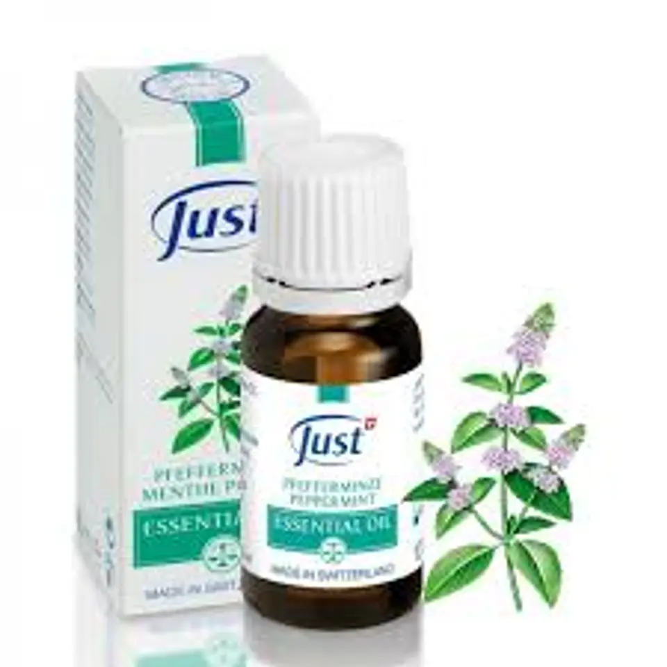 Peppermint Essential Oil | 10 ml 1