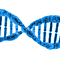 DNA, huid en veroudering