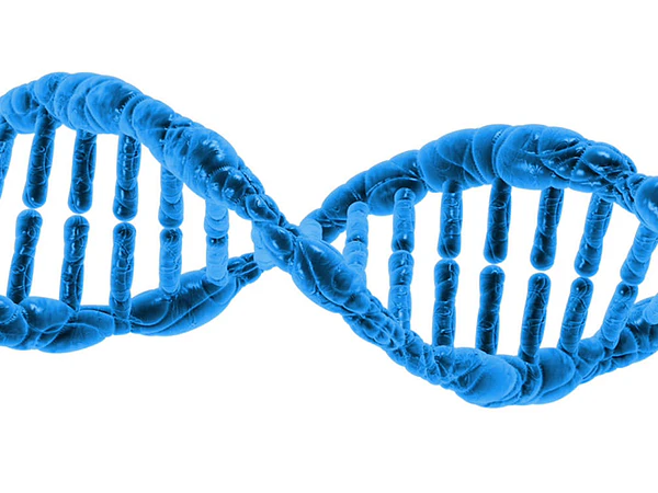 DNA, huid en veroudering
