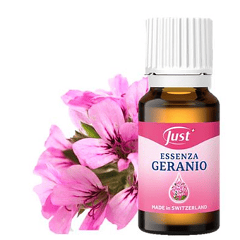 Geranium Etherisch olie | 10ml