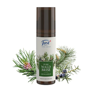 Aroma Spray Pure Waldbrise | 100 ml 