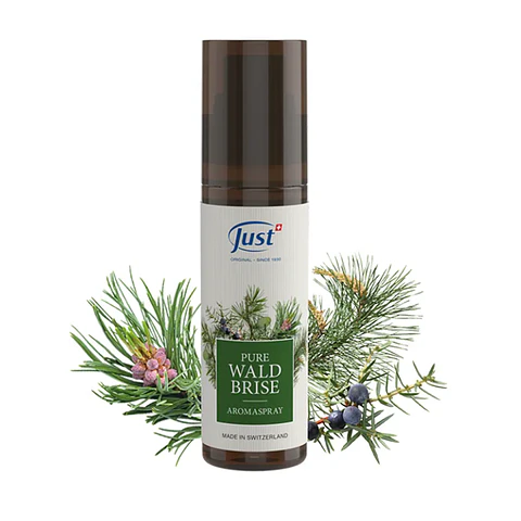 Aroma Spray Pure Waldbrise | 100 ml 