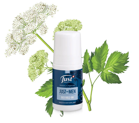 JUST FOR MEN deo roll-on | 50 ml