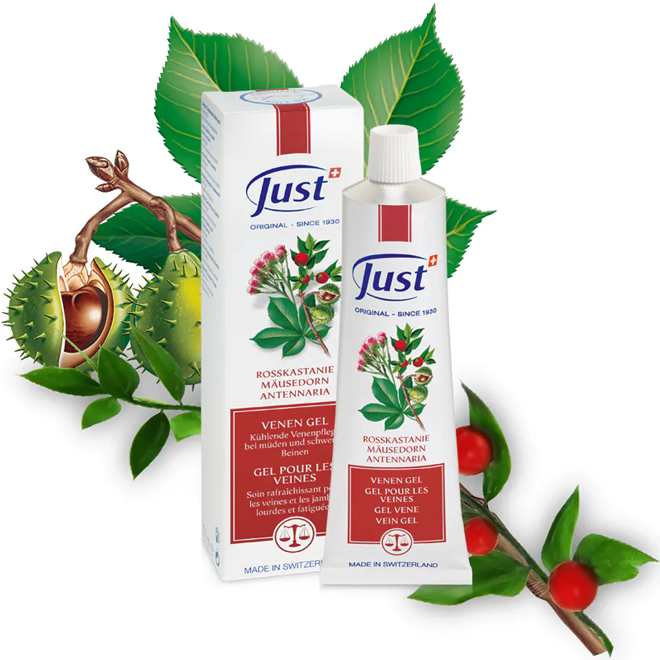 Horse chestnut | Mouse thorn | Rosary Venal gel | 100ml 1