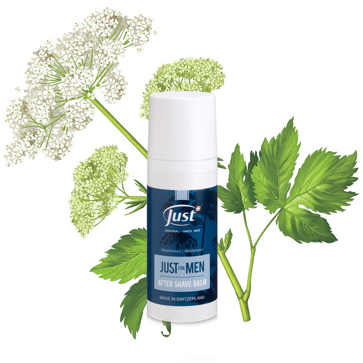 JUST FOR MEN after shave balm | 50 ml 1