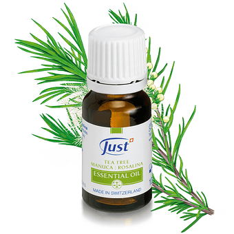 Tea tree | Manuca | Rosalina Essential Oil | 10 ml