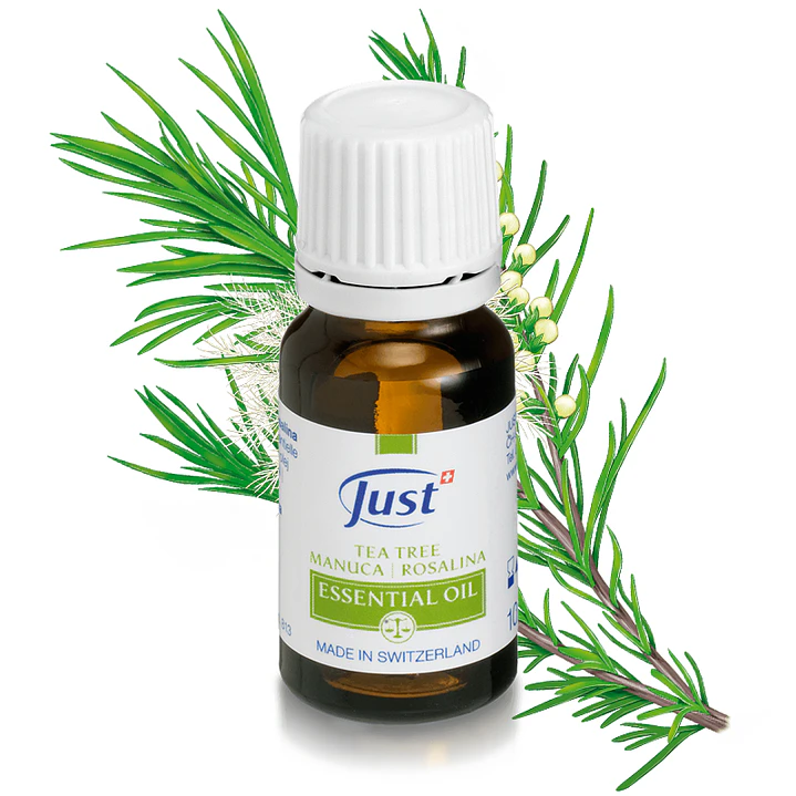 Tea tree | Manuca | Rosalina Essential Oil | 10 ml 1