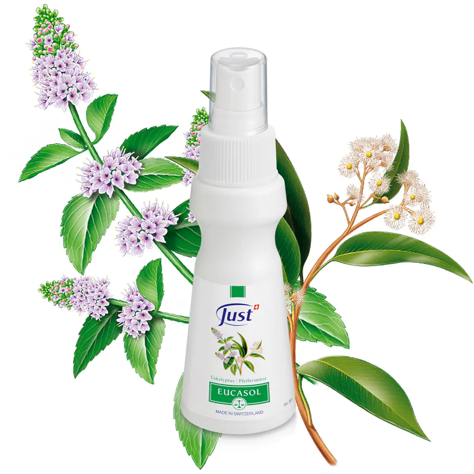 Eucasol Spray | 75 ml 1