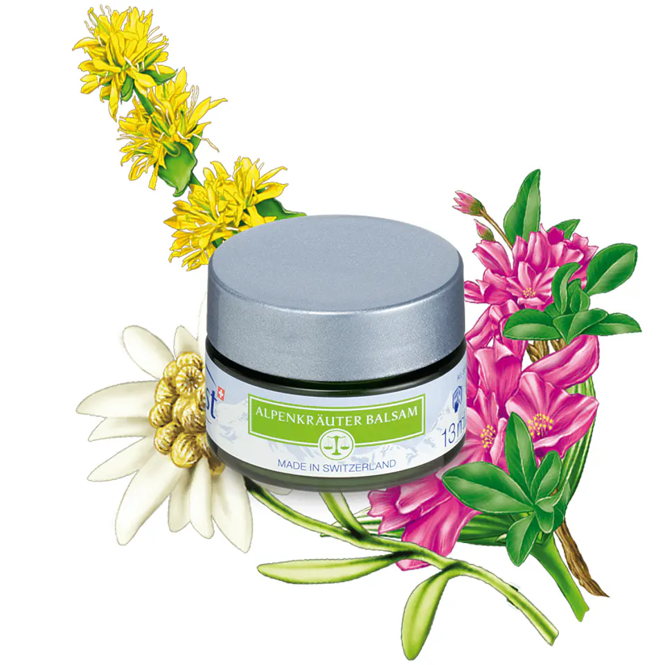 Alpine herbal balm | 13 ml 1