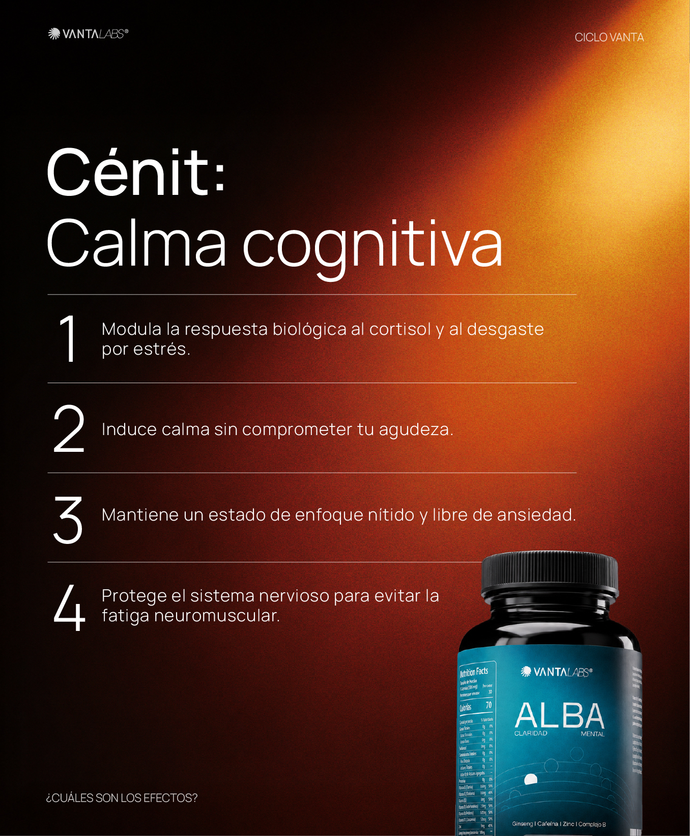 Ciclo Vanta: Protocolo completo 5