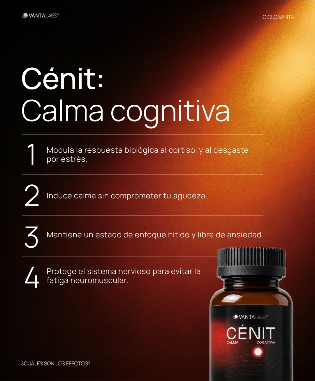 Cénit: Ashwagandha KSM-66 + Melissa + L-Teanina  4