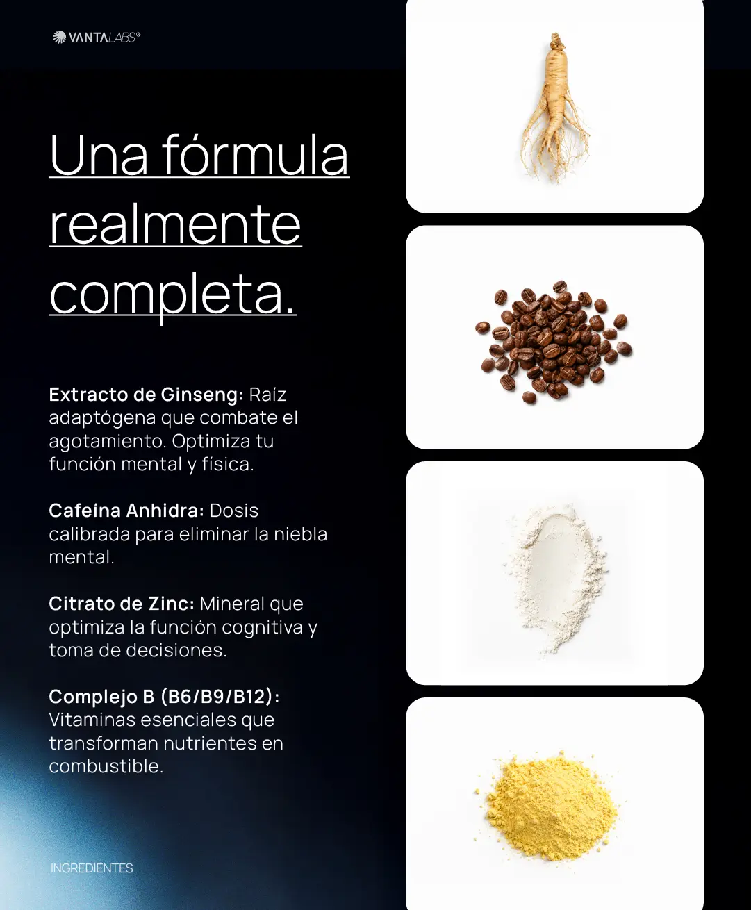 Ciclo Vanta: Protocolo completo 6