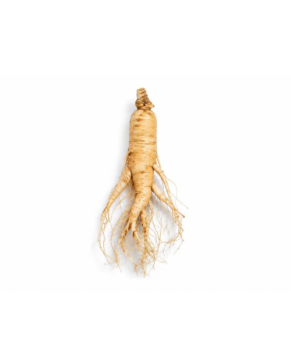 Extracto de Ginseng