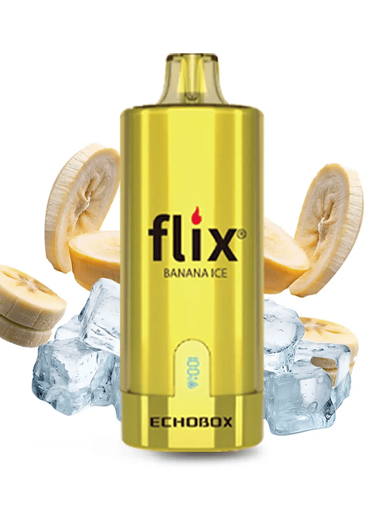 Flix Echobox Banana ICE 12K 1