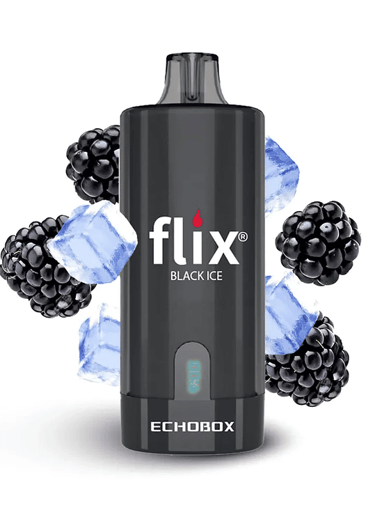 Flix Echobox Black ICE 12K 1