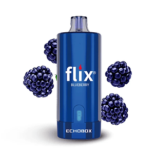 Flix Echobox Blueberry 12K