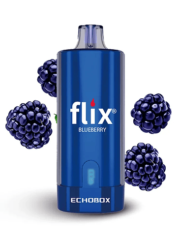 Flix Echobox Blueberry 12K 1