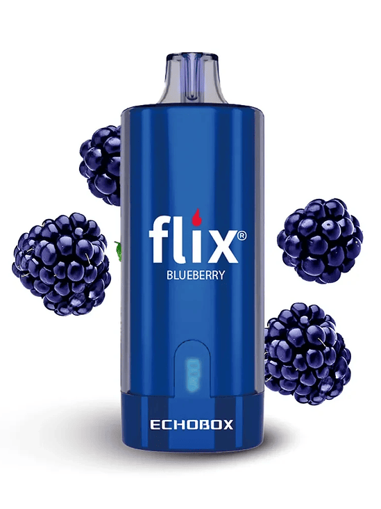 Flix Echobox Blueberry 12K 1