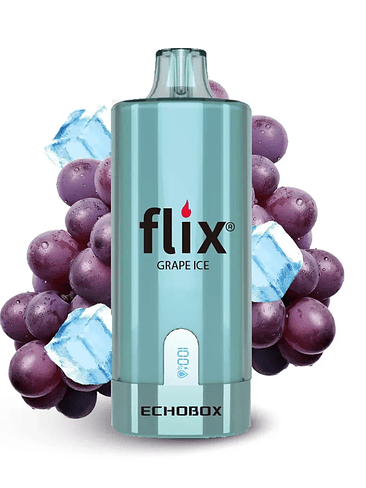 Flix Echobox Grape ICE 12K 1