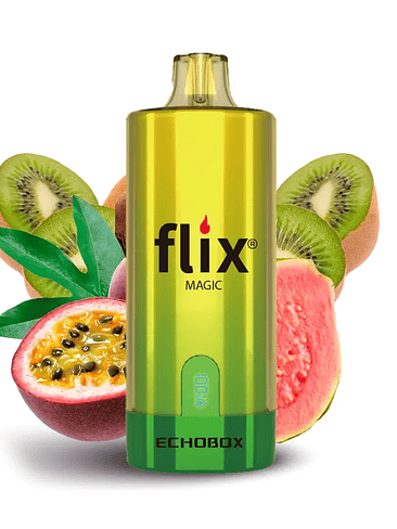 Flix Echobox Magic 12K 1