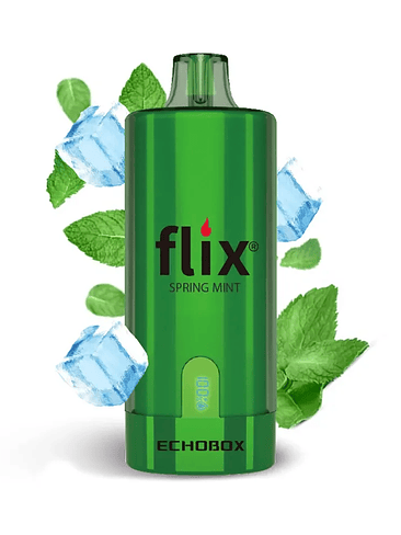 Flix Echobox Spring Mint 12K 1