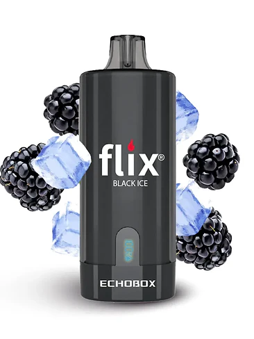 Flix Echobox 12.000 Puffs 2