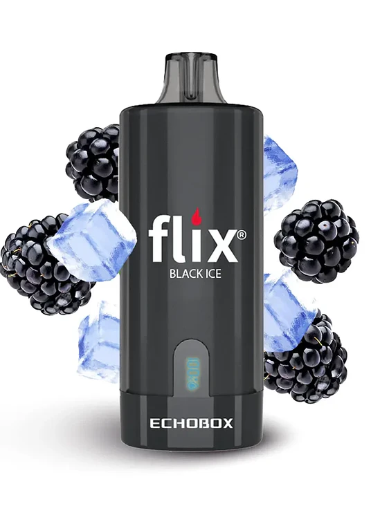 Flix Echobox 12.000 Puffs 2