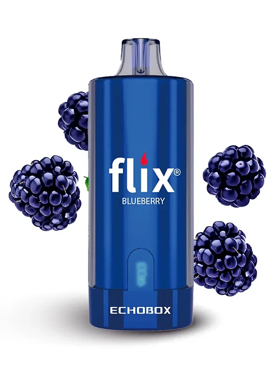 Flix Echobox 12.000 Puffs 4
